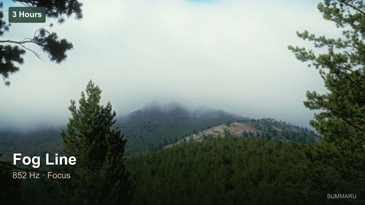 Fog Line